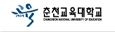 춘천교육대학교